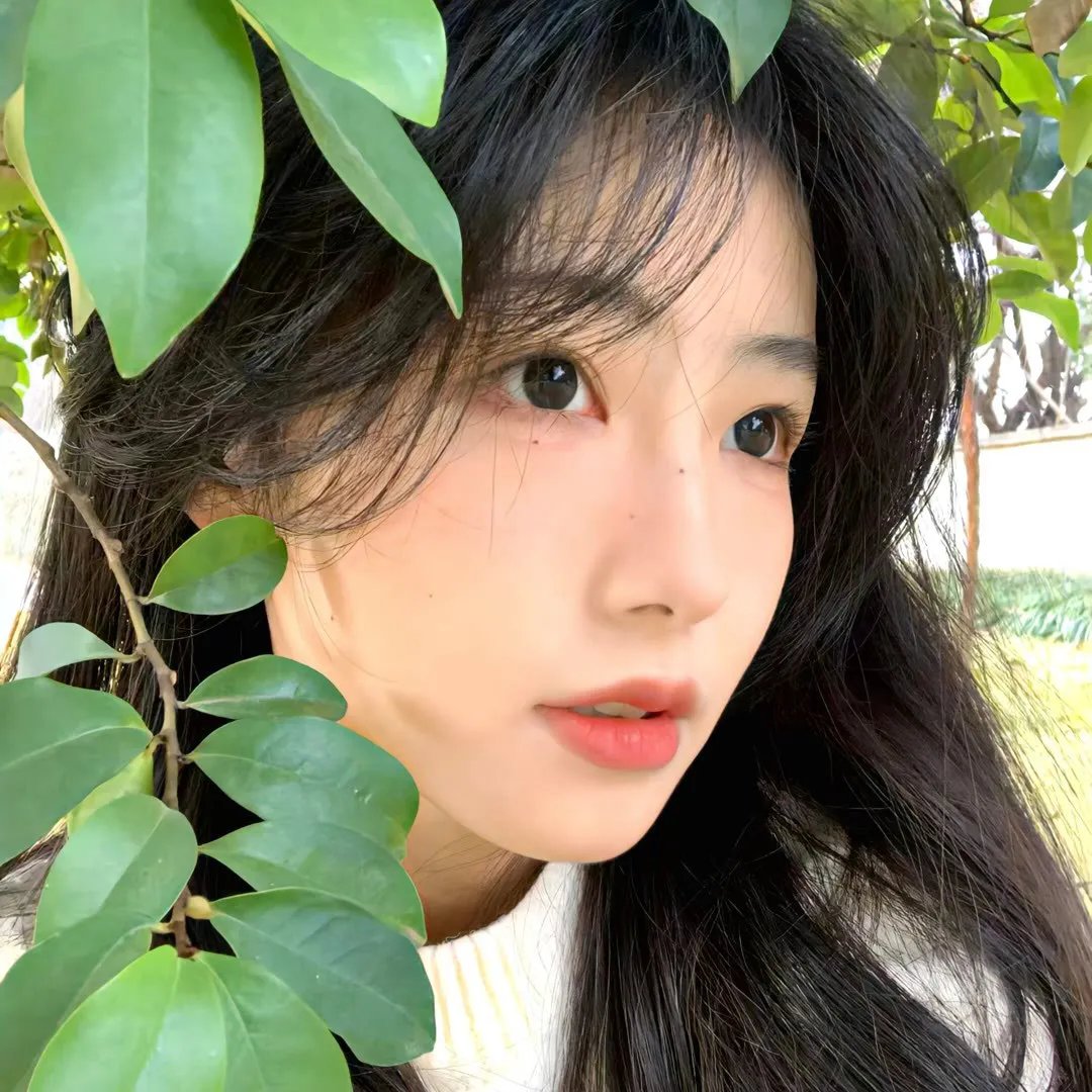 苹果恋爱多