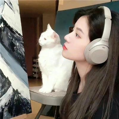 追爱自由行